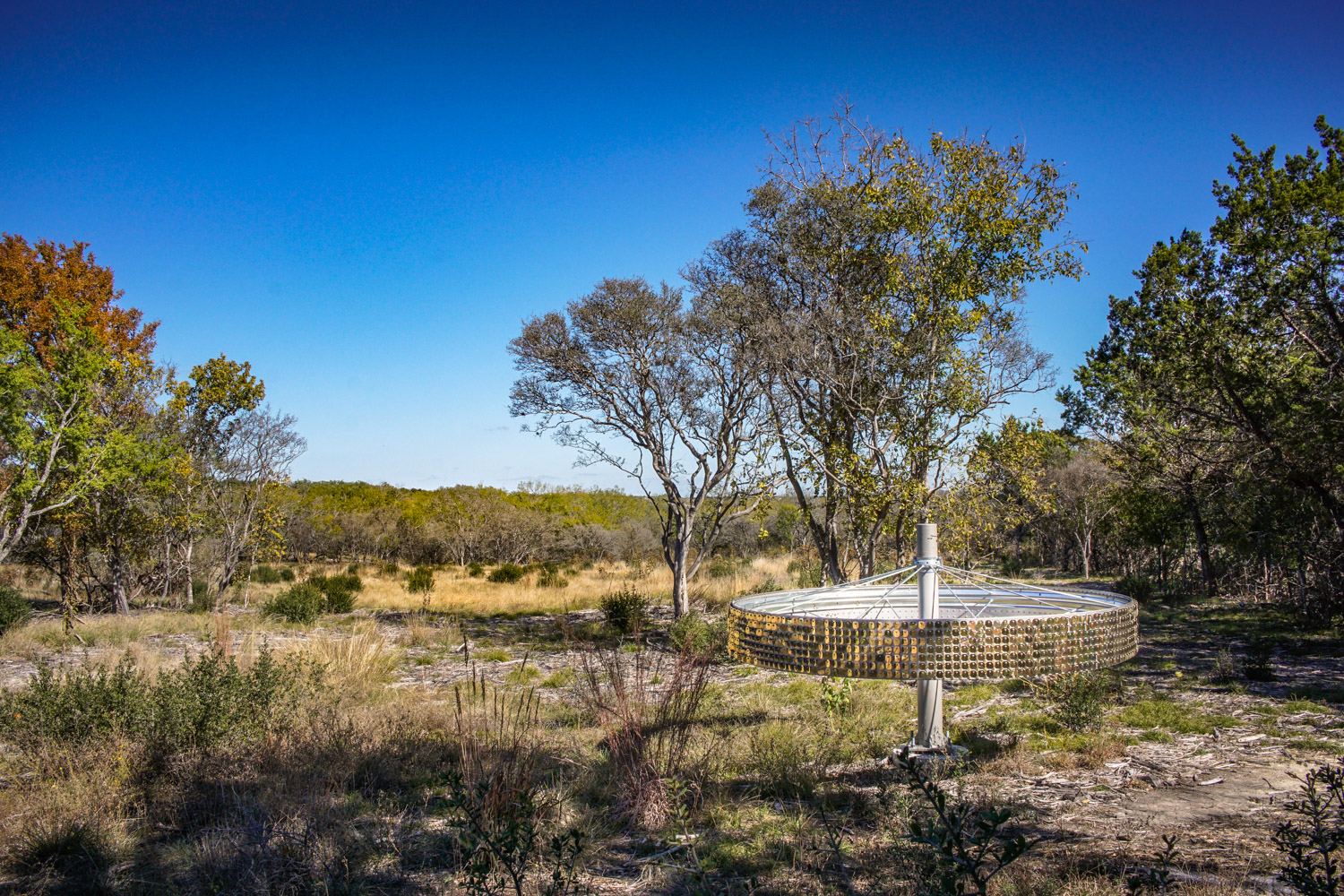 Golden Age Art Installation