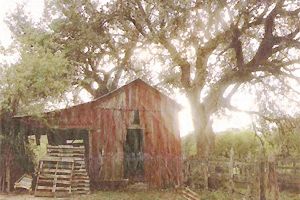 Prized Property Could be Oasis