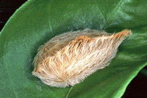 Have Fun (and be careful!)