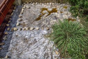 Solarization used to Combat Invasives