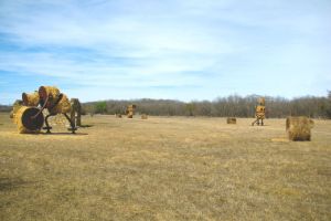 Hay, look! Public art in Hardberger Park