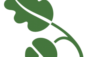 Why does a city park need its own nonprofit?